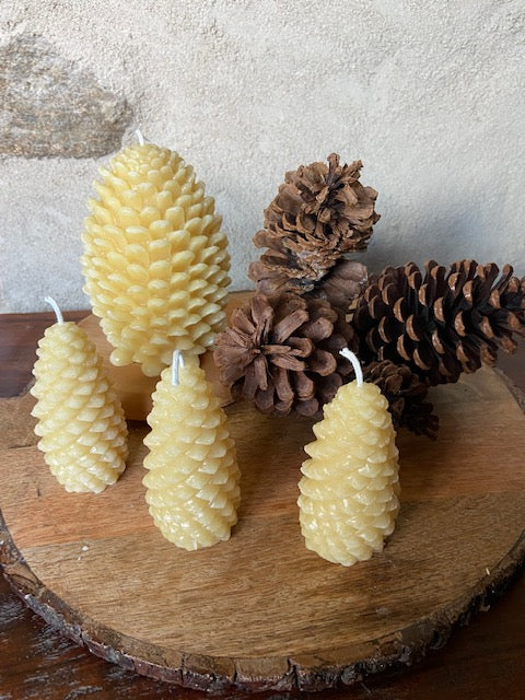 4" Small Pinecone