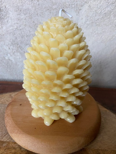 5" Large Pinecone