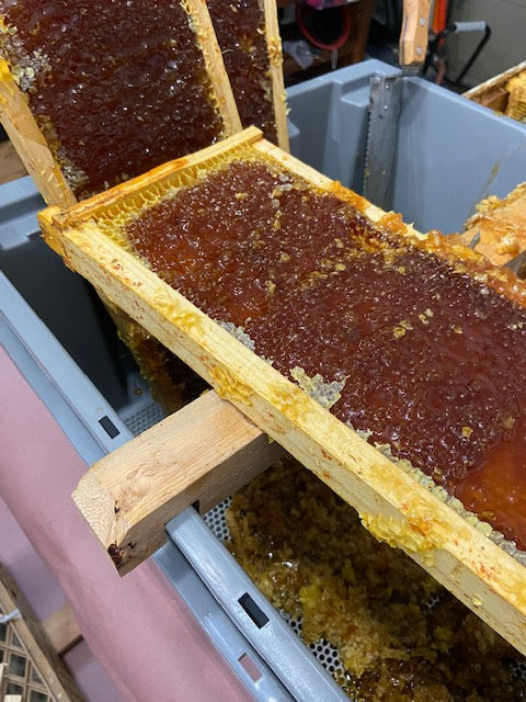 Summer and Fall Honey