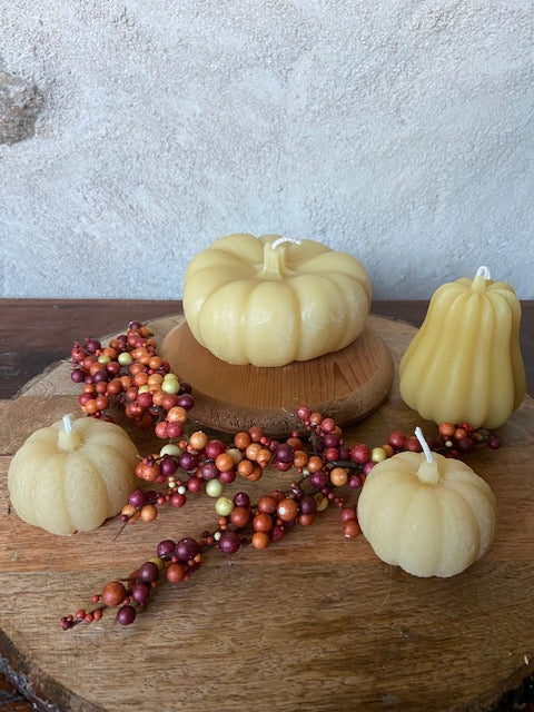 3" x 2" Medium Gourd