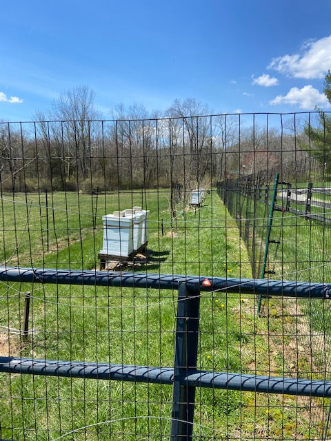 Our Story It began with a long meadow, ten acres, and a house at the top of a hill. Soon came chickens, a garden and fruit trees. Each year another hive was added. Our honey and wax are processed on site, producing honey, candles and soap. 