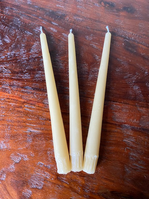 10" Candle Sticks (2)